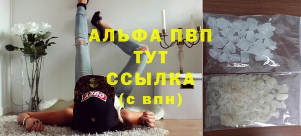 apvp Магадан