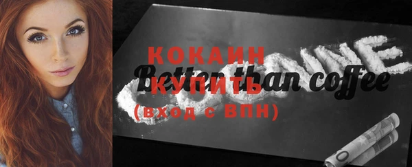 молекула духа Кулебаки