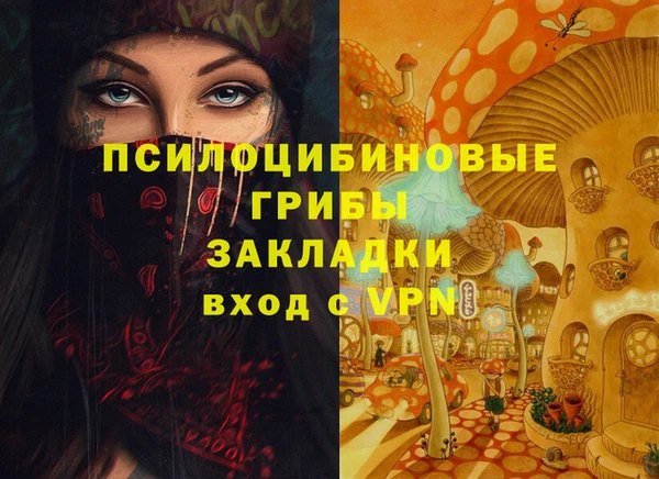 apvp Магадан