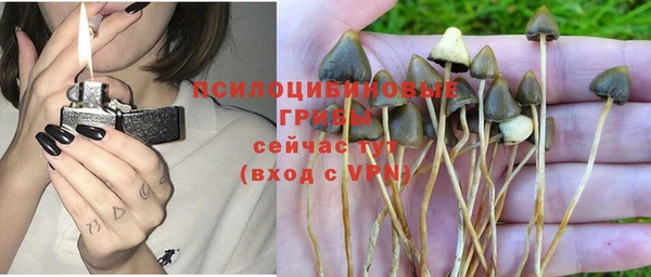 герыч Липки