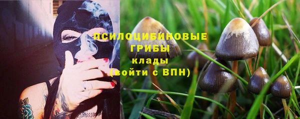 apvp Магадан